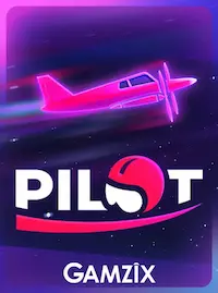 Pilot Pilot crash at 5558H COM